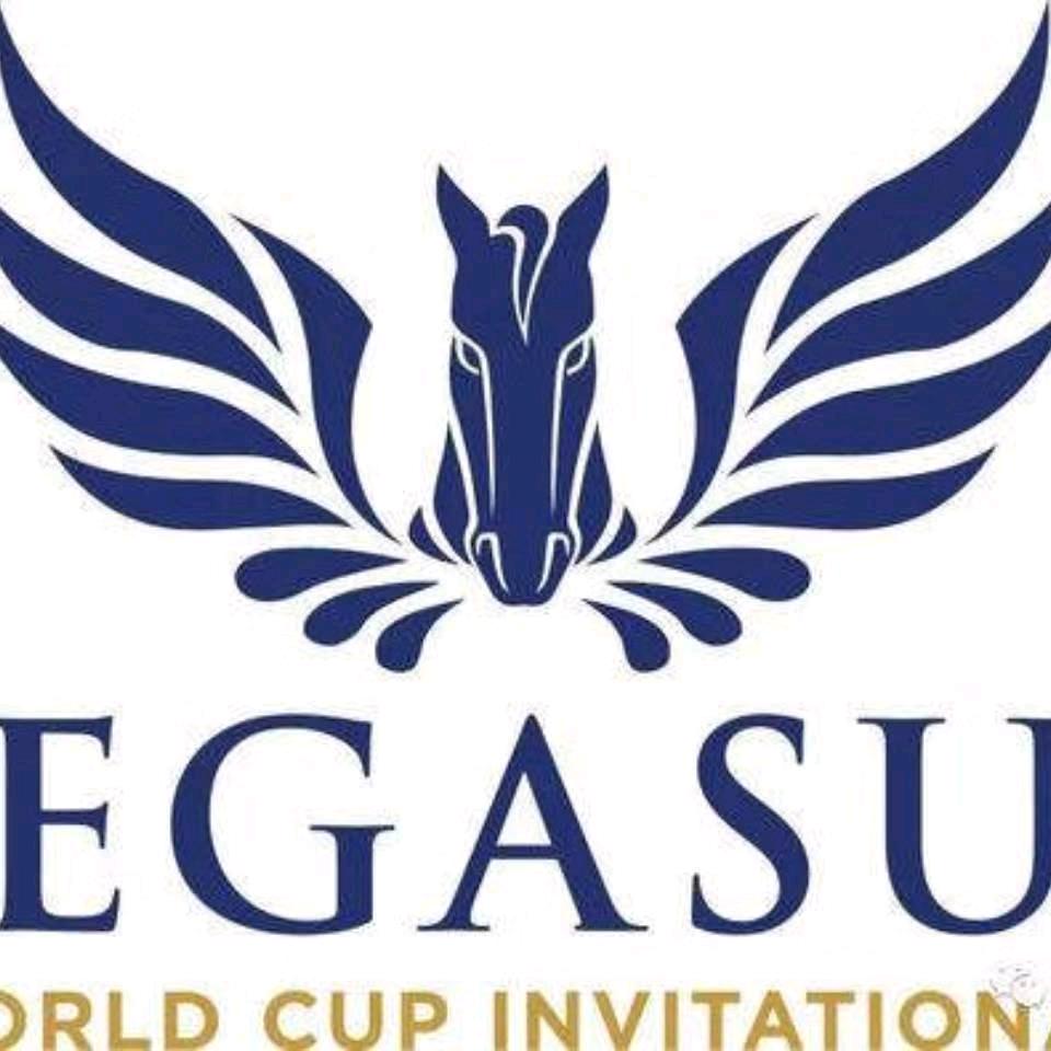 飞马工业（上海）