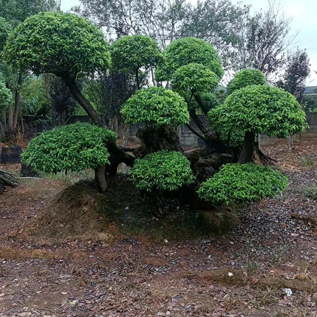 改写人生
