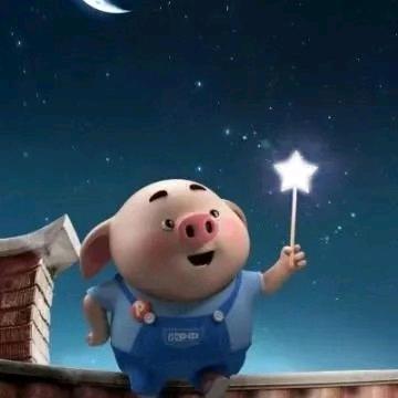 星空下的笨笨猪