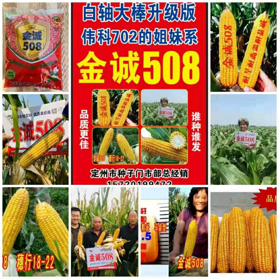 丰收种业