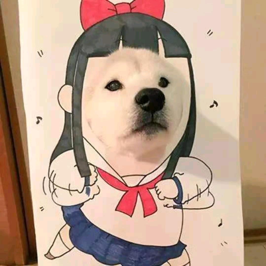 bang次