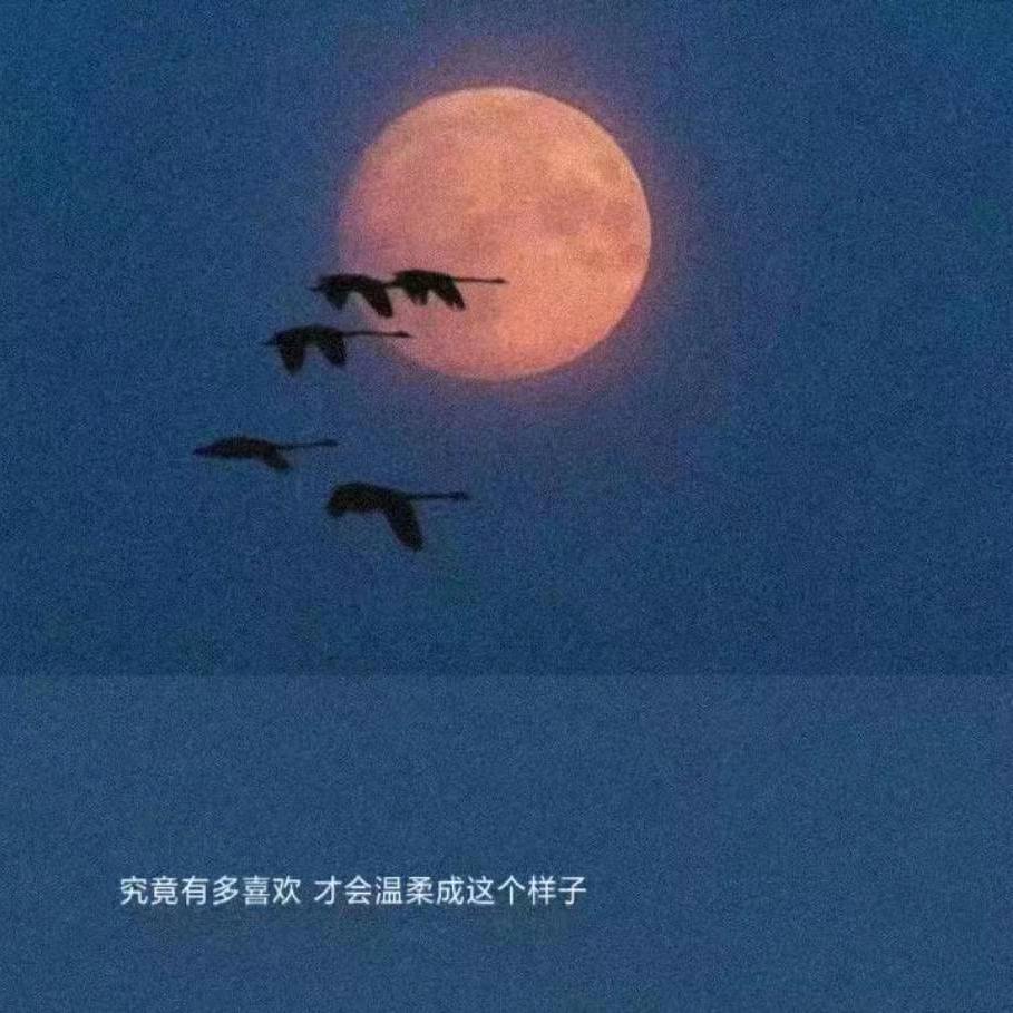 岁月吴痕（裁剪）