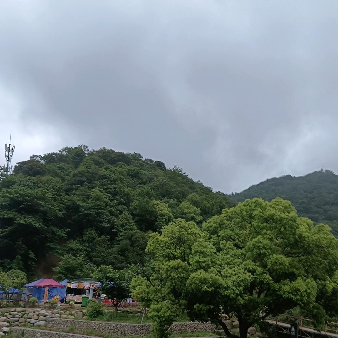 开心果