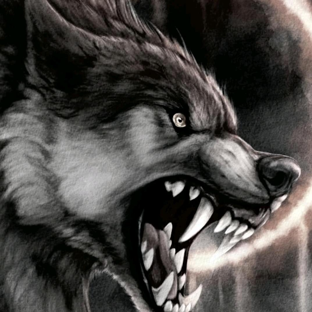 86年～~♥♥与狼共舞