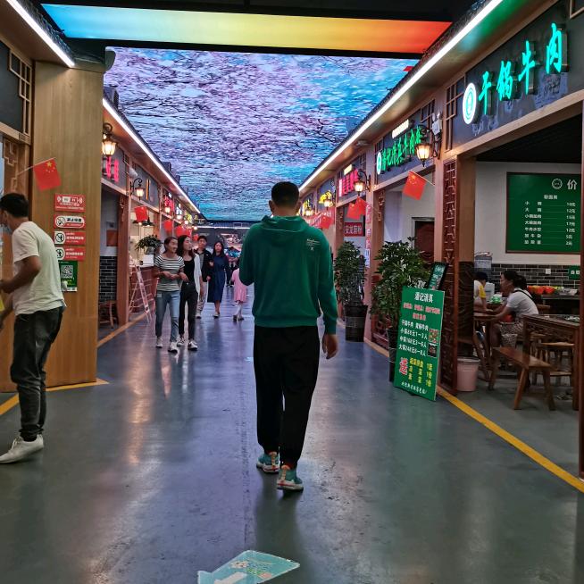逆流的鱼