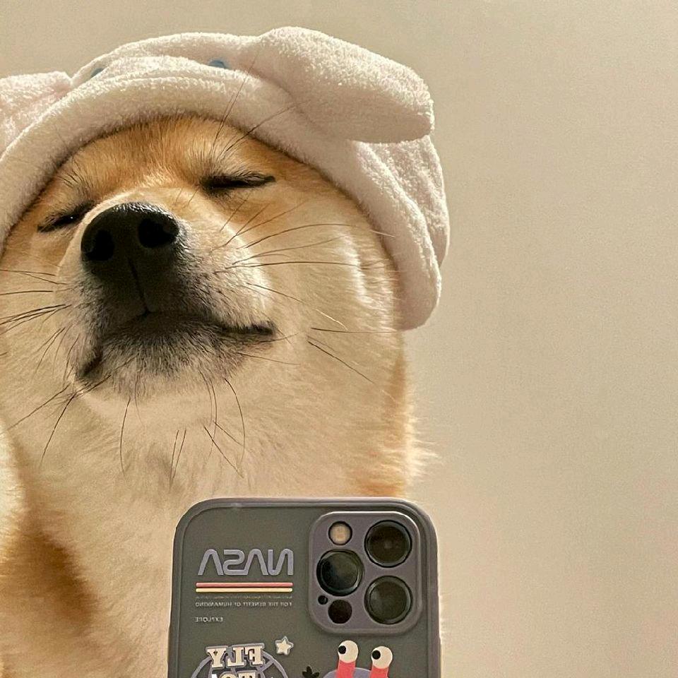 坏蜑℡嗳伱