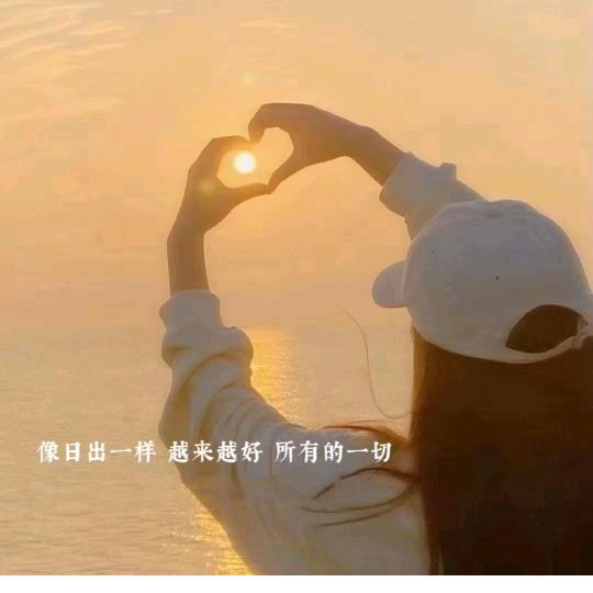 不会飞de翅膀