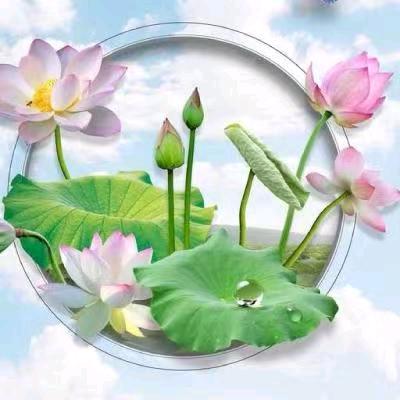 苦情姐姐
