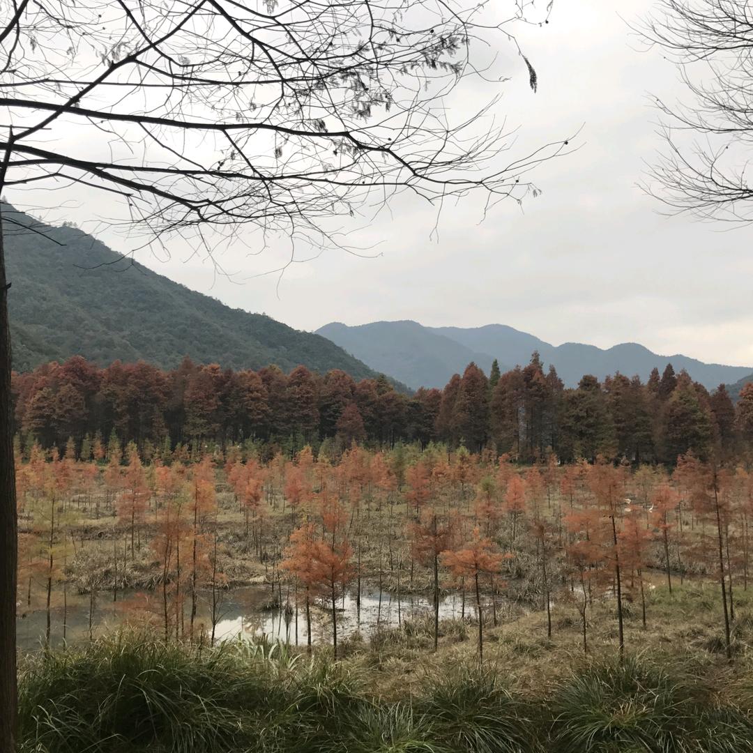 平淡