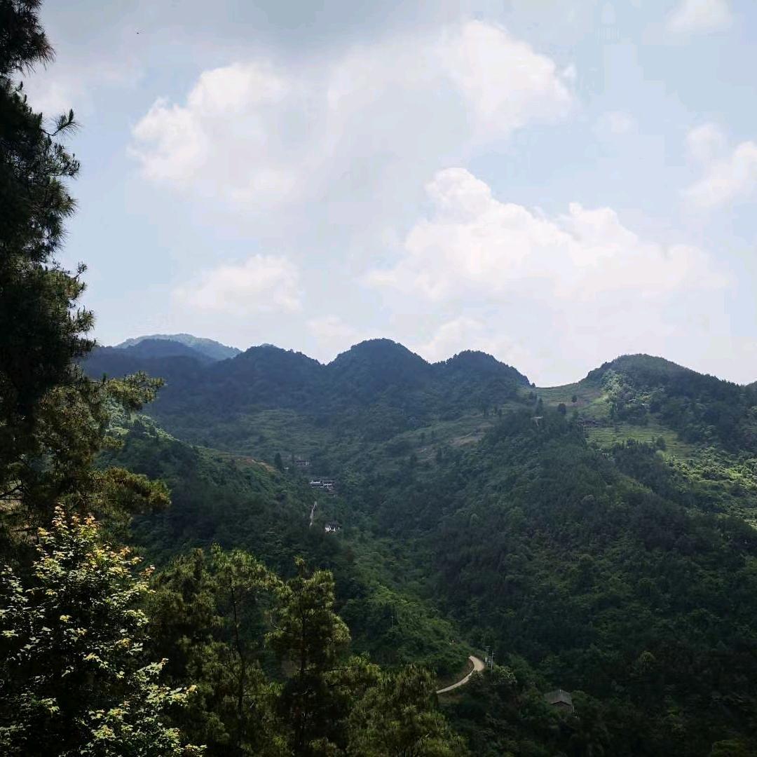 艺灯居士