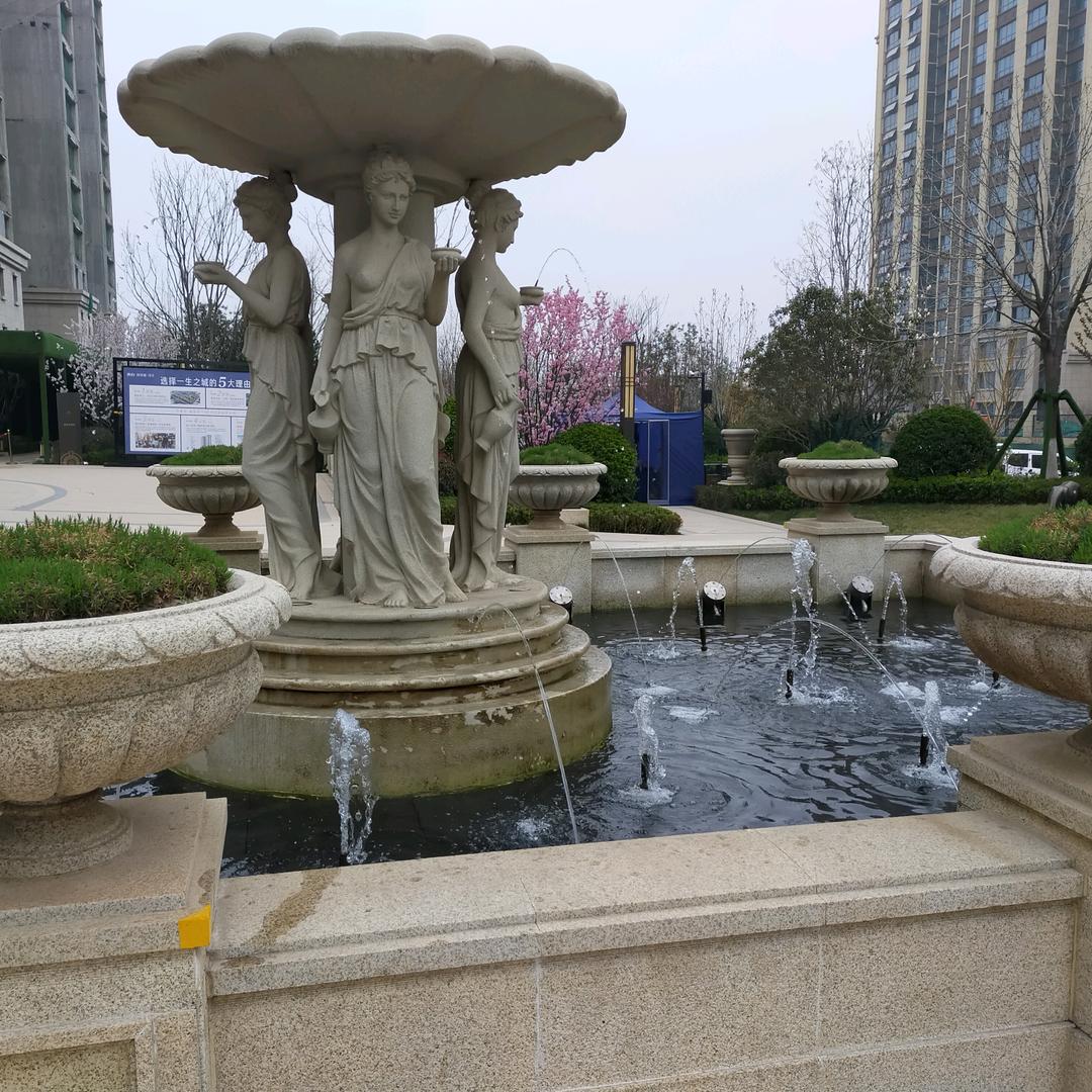 社会三哥