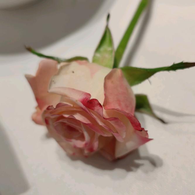 宇达照明