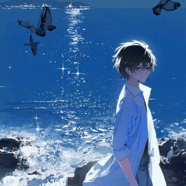 恰似惊鸿落九天