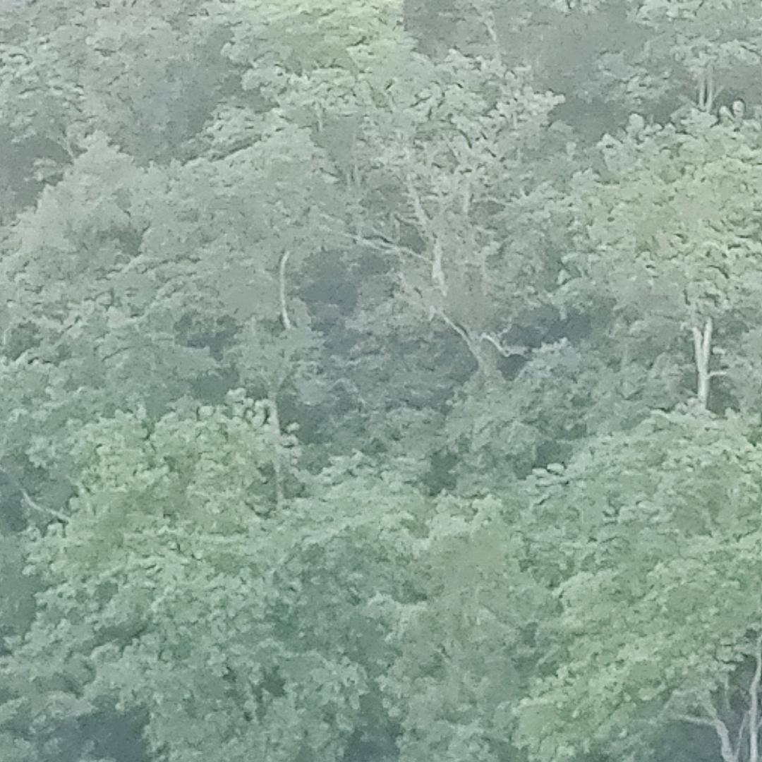 小飞🍆🍆