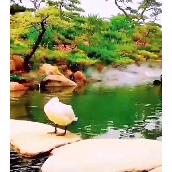 爱你一世