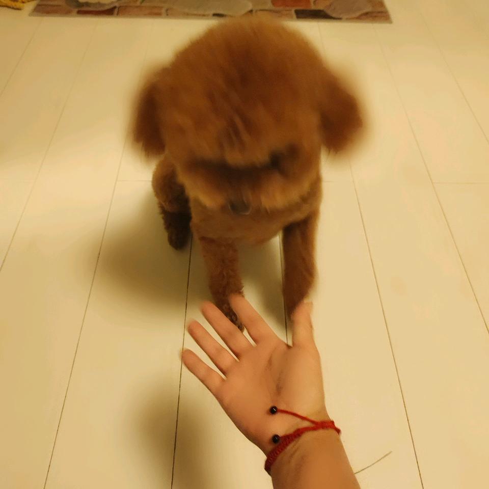 ᦦ້ᮨ꯭໌7352ꦿᮨ࿐