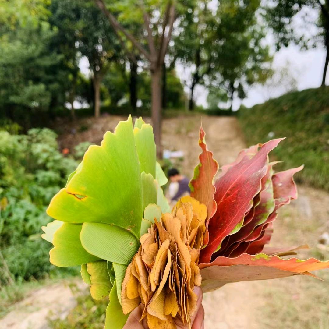 仙睎