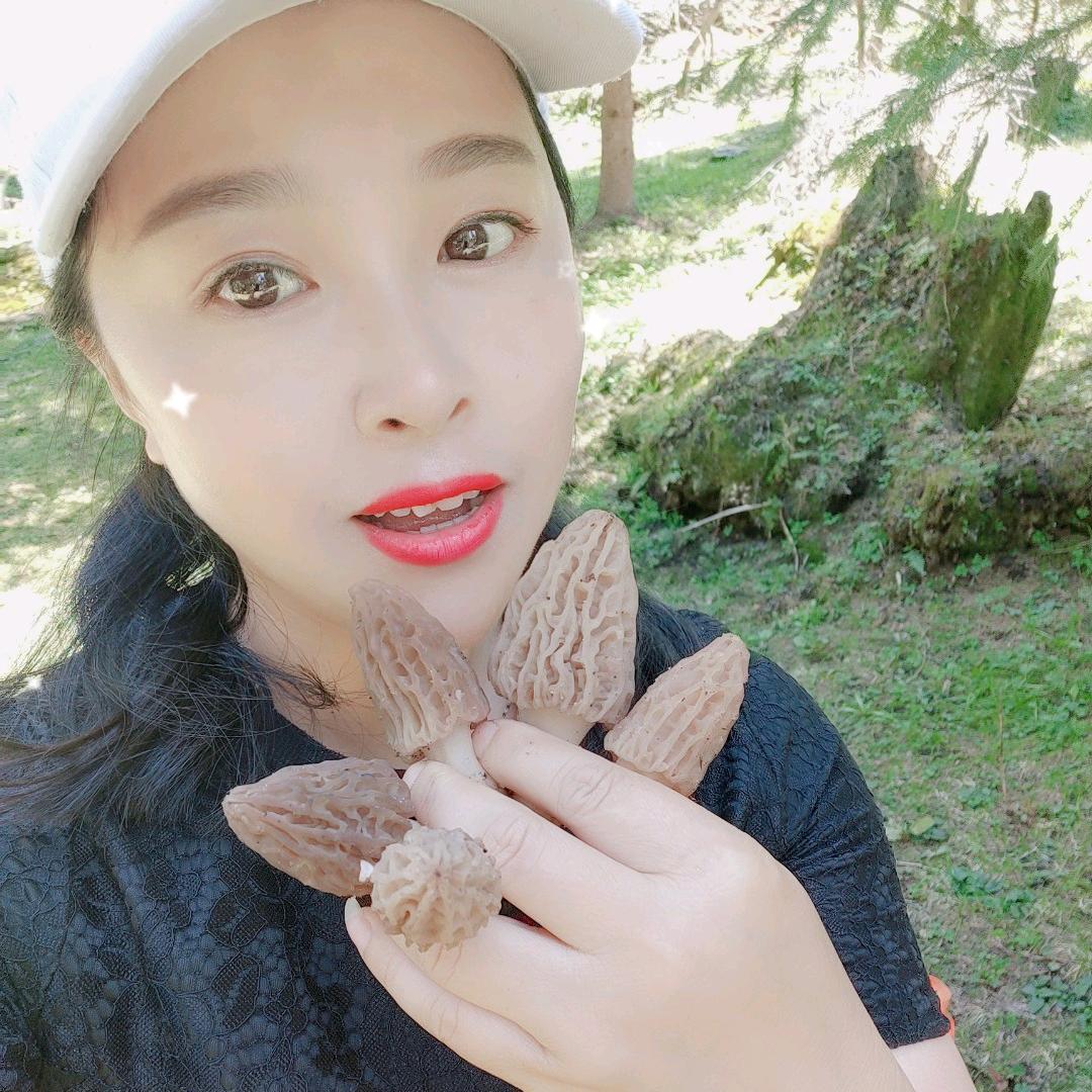 燕子