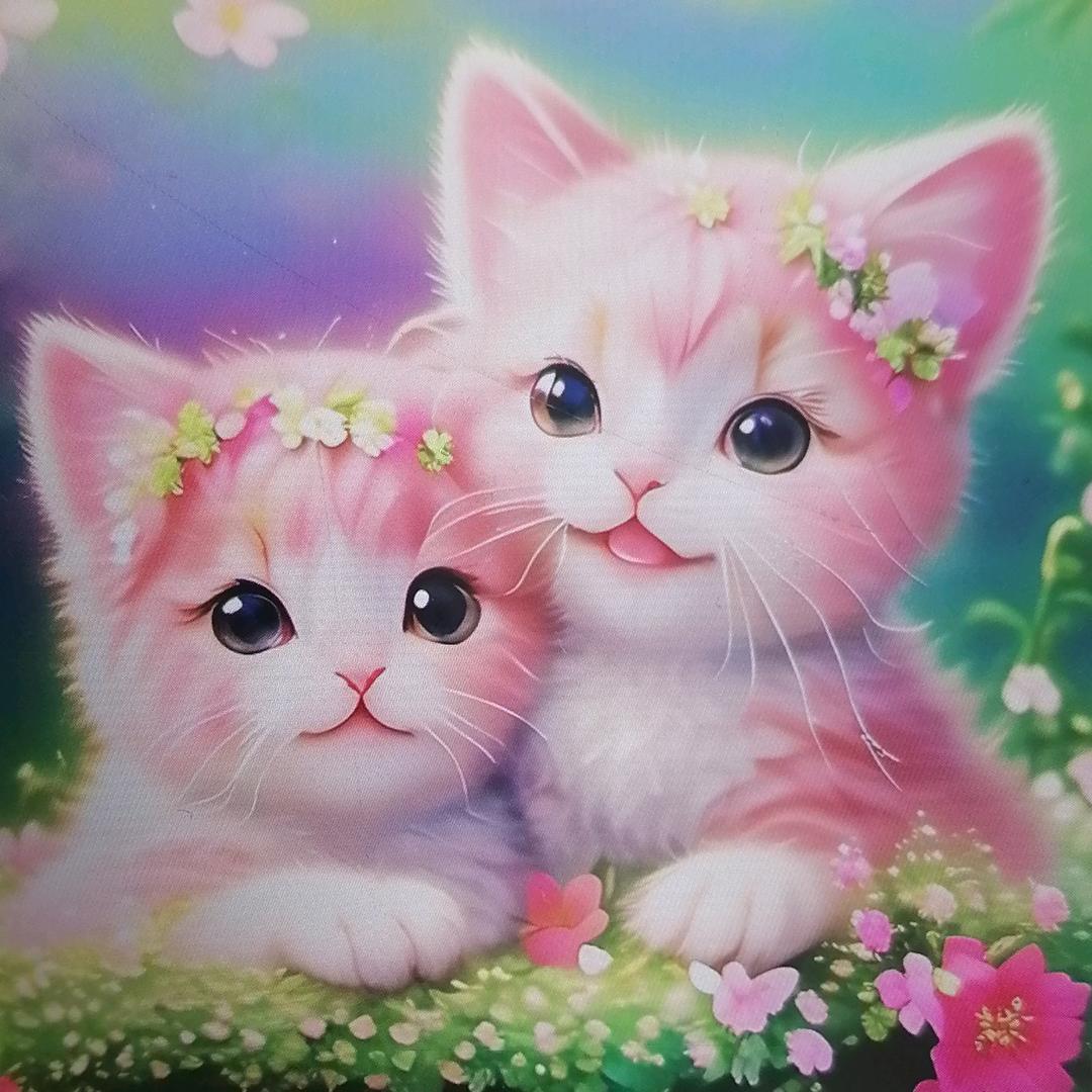 美丽的花朵