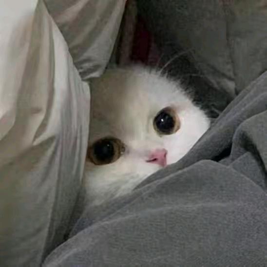 懿.