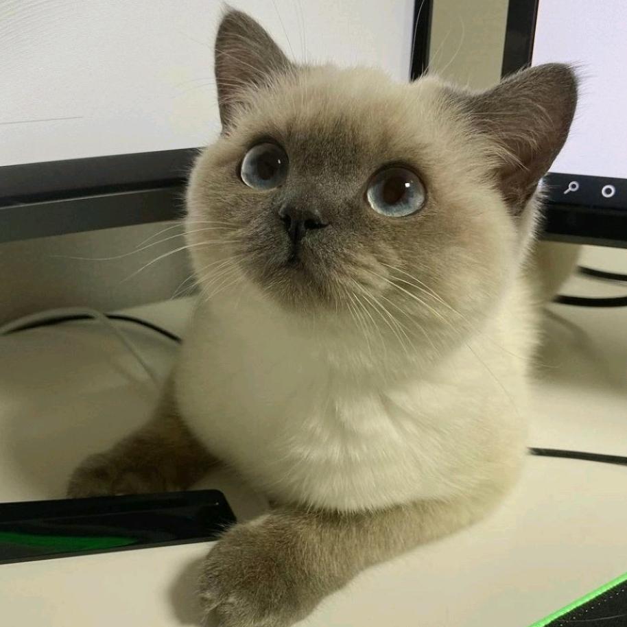 无敌宇宙最帅暴龙战士