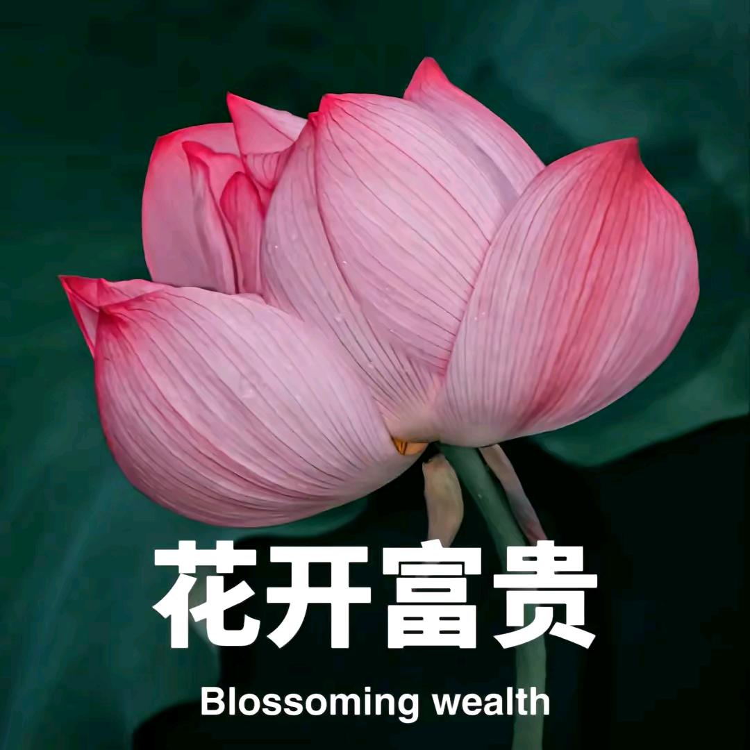 刘先生