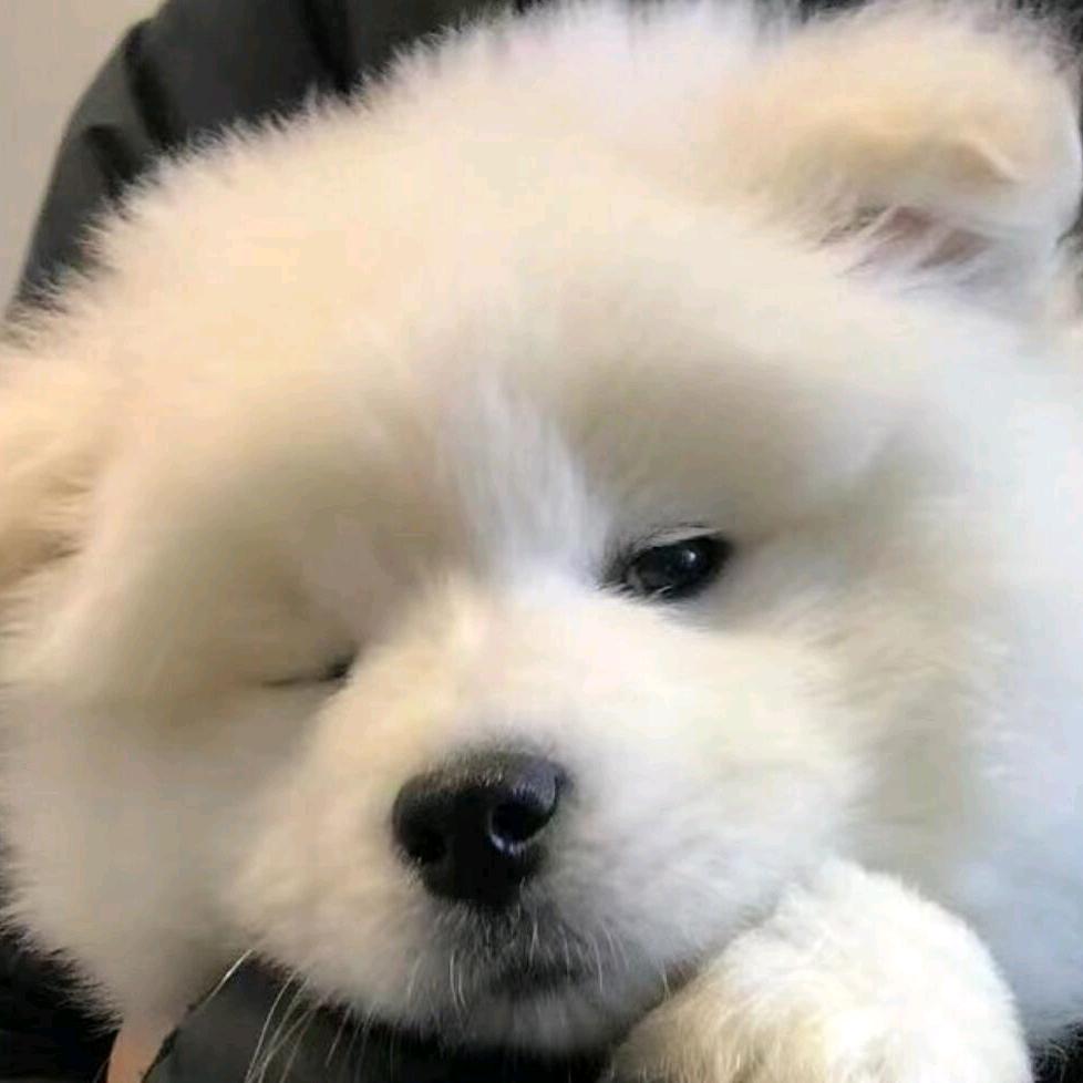 小漏洞