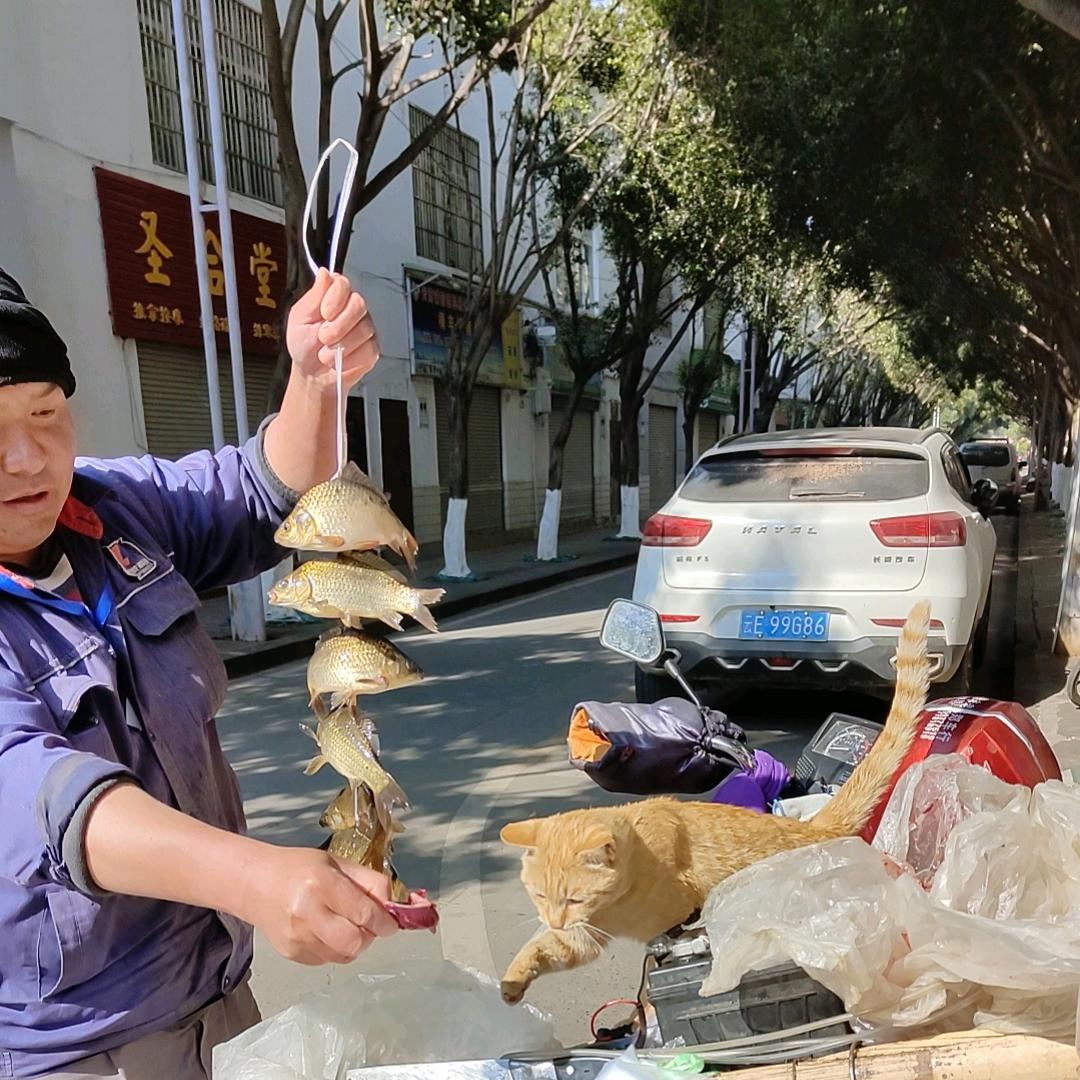 卖鱼哥