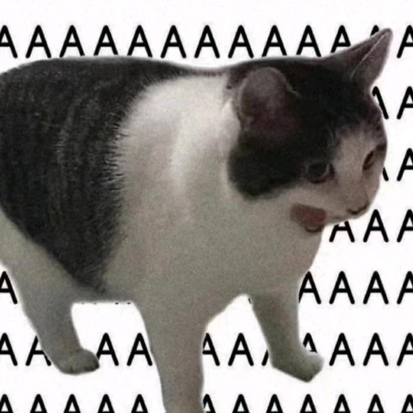 以为我们不会走散.