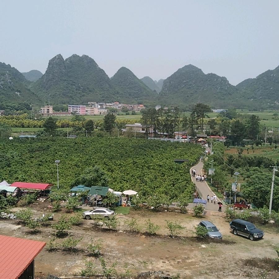 用户久久动一动