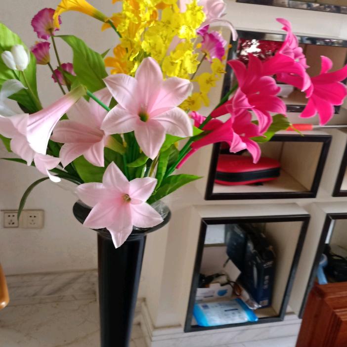 O(∩_∩)O罗♥♥♥