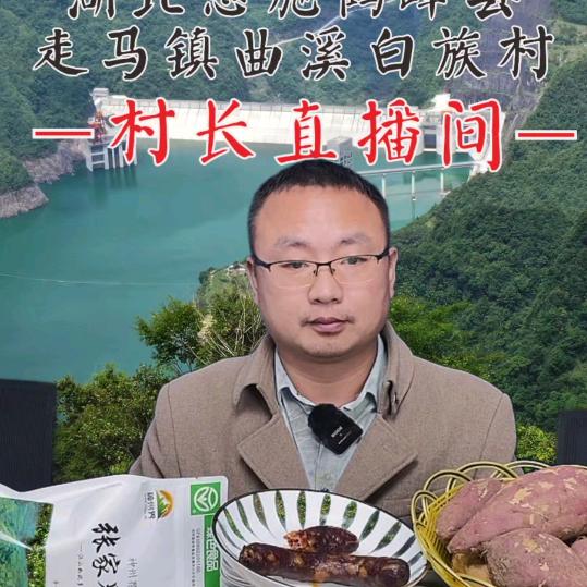 白族村长