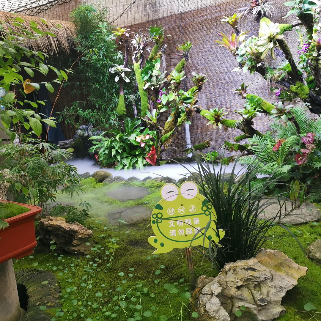 用户香草