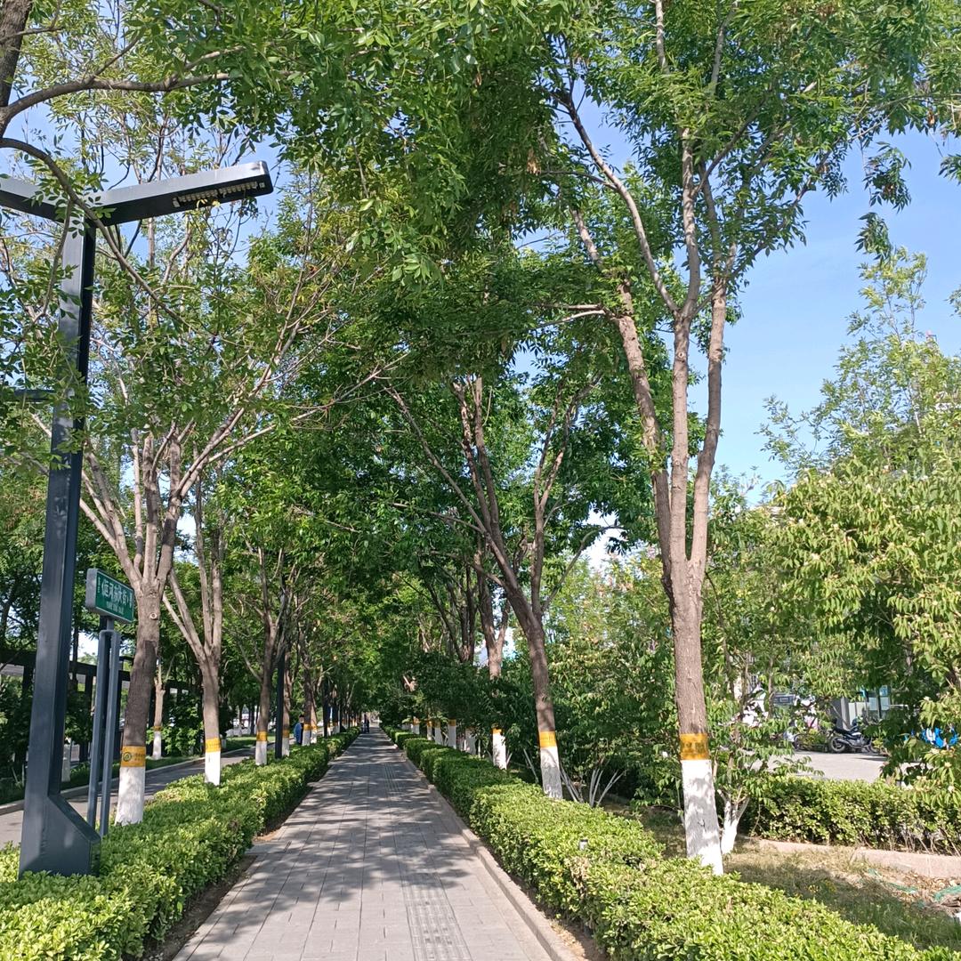 小卡拉