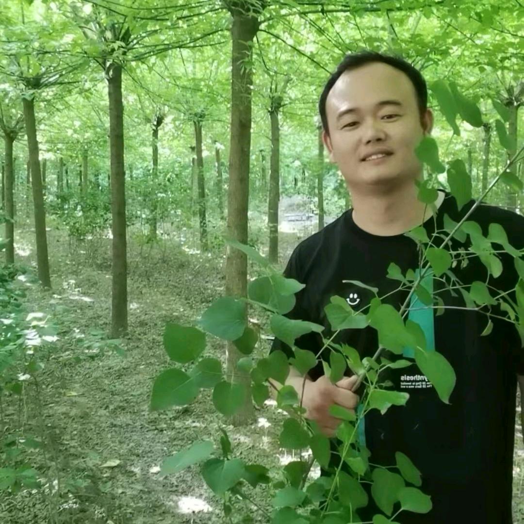 鄢陵石材加工专业橱柜
