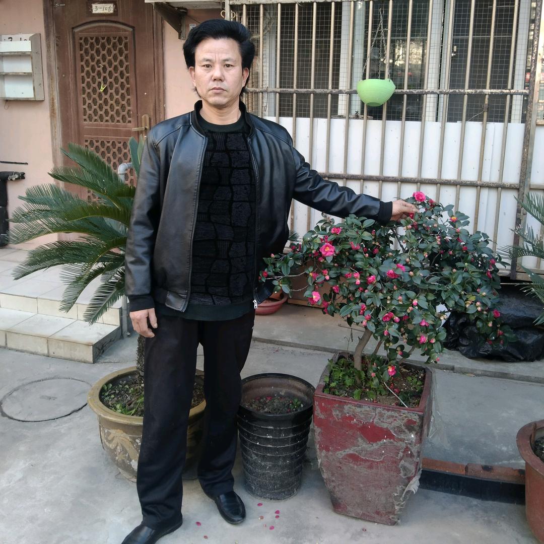 单身上海市
