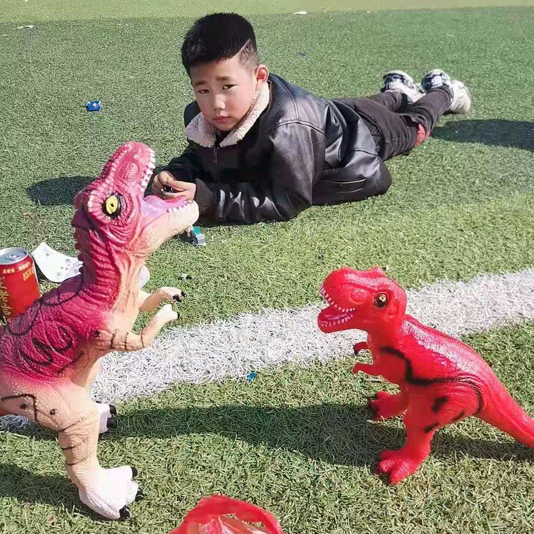 追梦王子