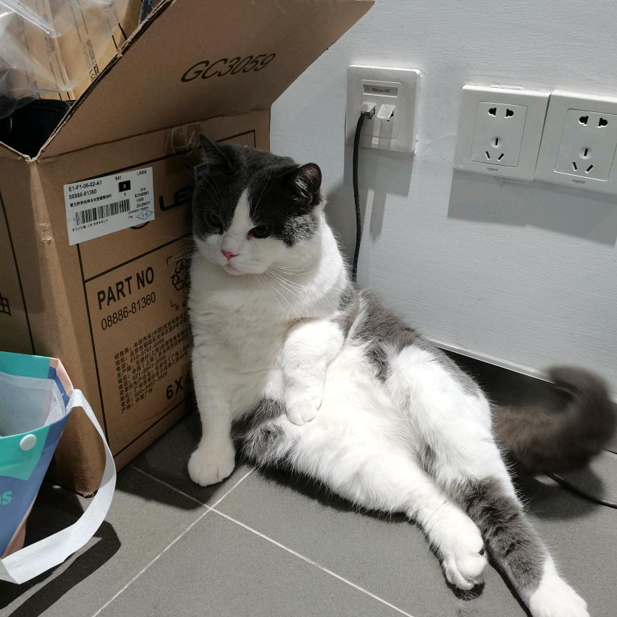 酷利特草帽哥硬派越野-娟子