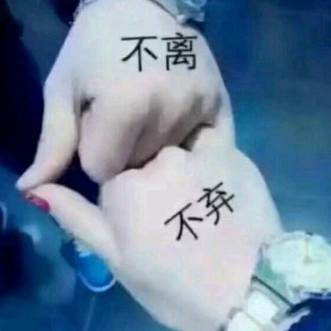 海心留宇