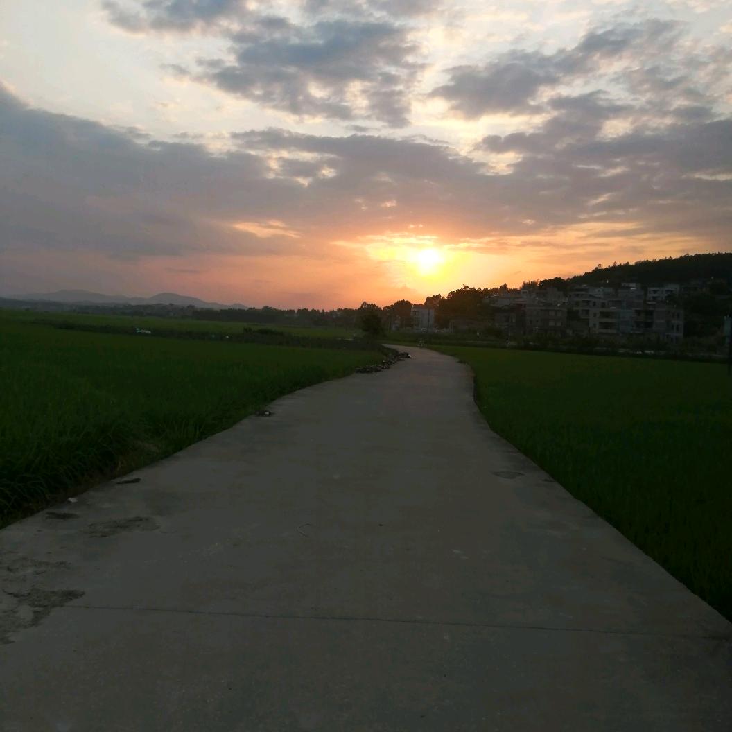 粤W如意祥