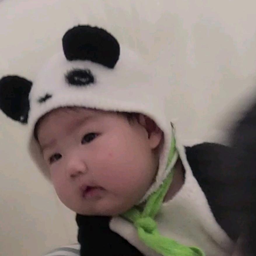我看你长得像胖虎