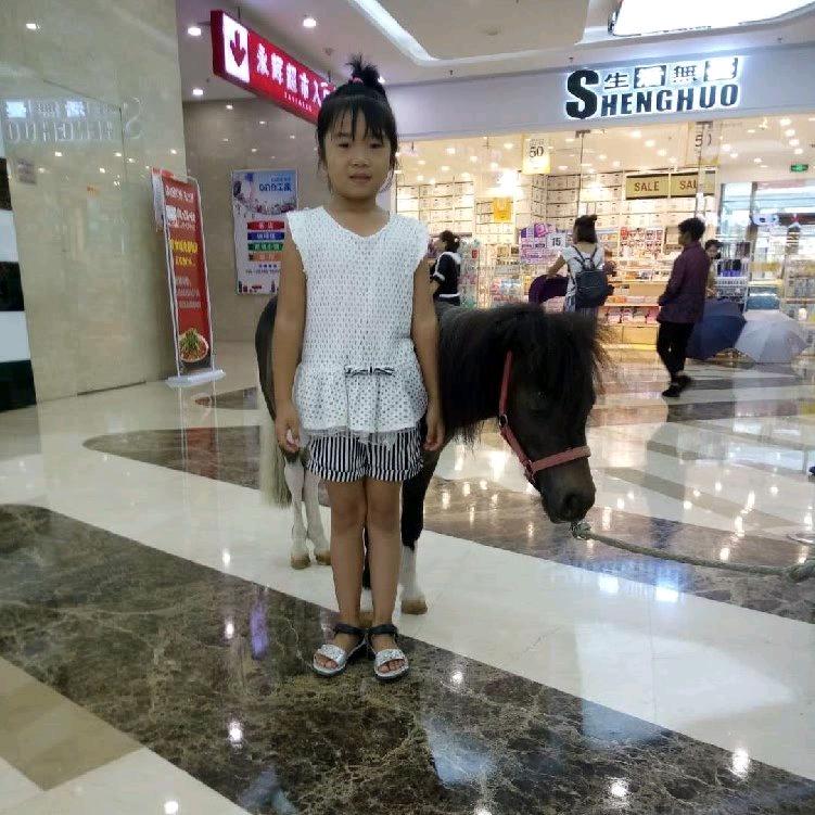 微醺丸子