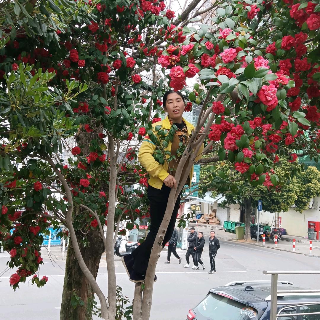 梦想成真