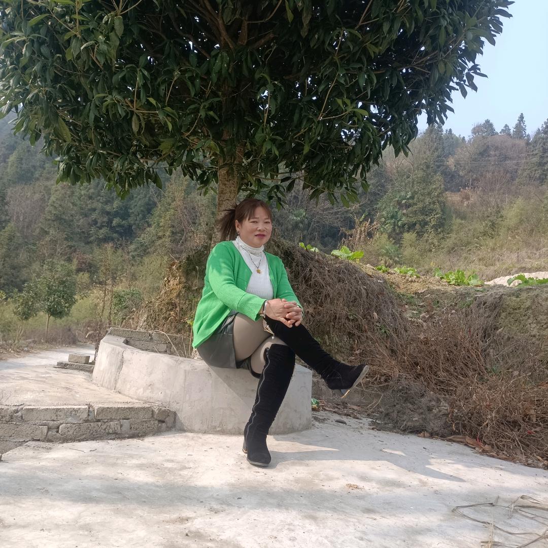 小菊