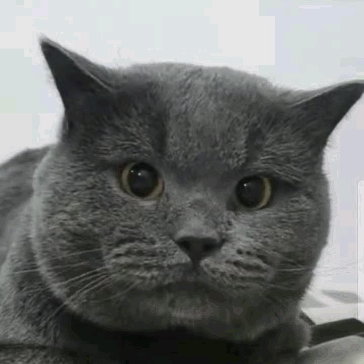 我是一个小胖娃