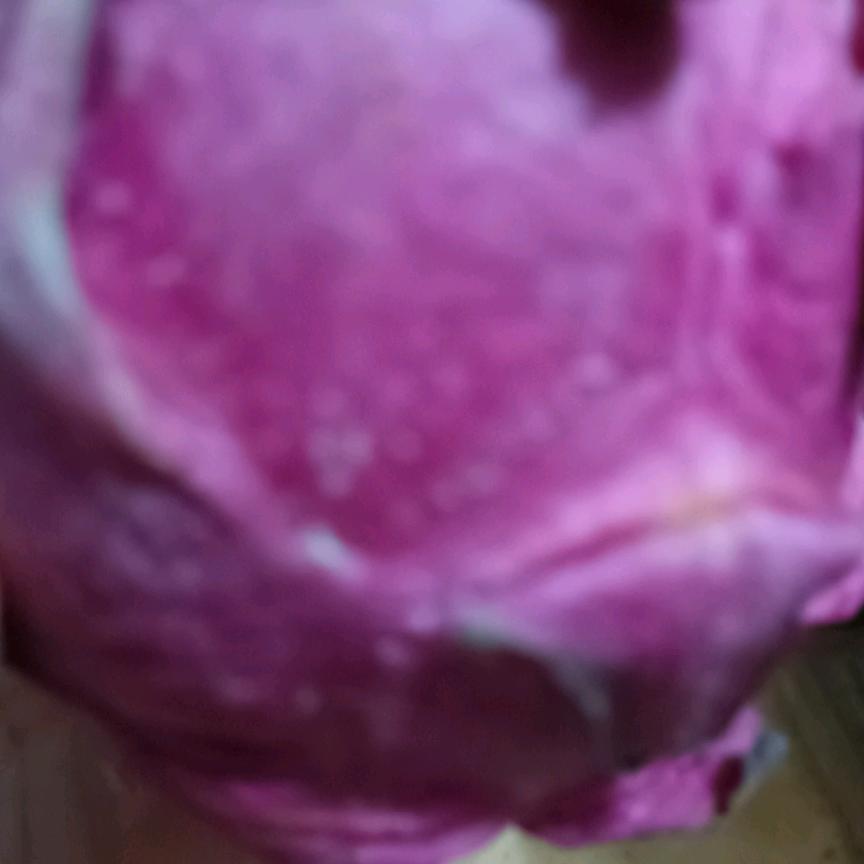小燕