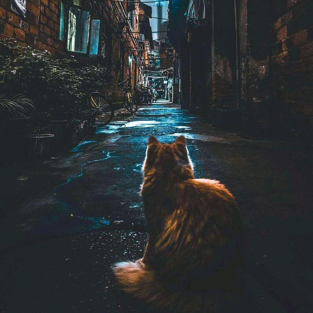 我睡饱了