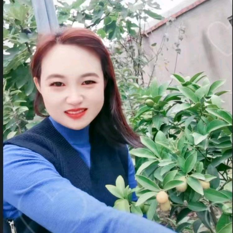 人生如梦-