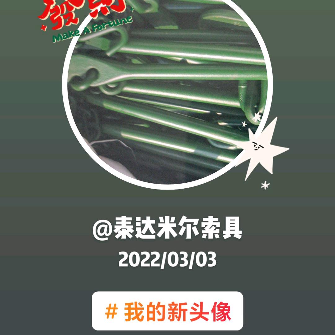 AA泰达米尔索具