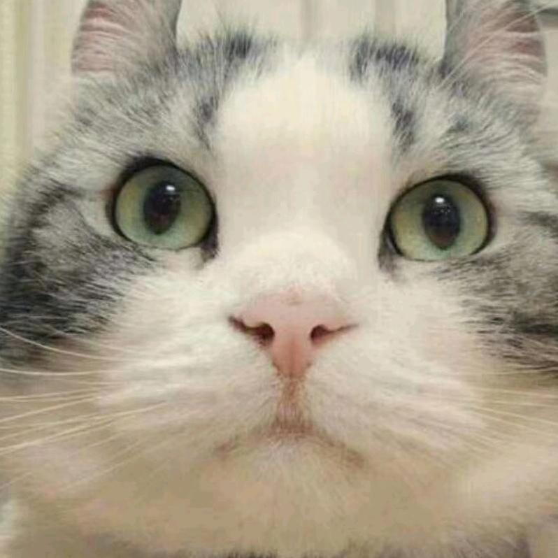 小胖